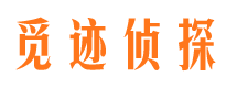 武宁市调查公司